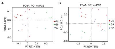 Different Age-Induced Changes in Rhizosphere Microbial Composition and Function of Panax ginseng in Transplantation Mode